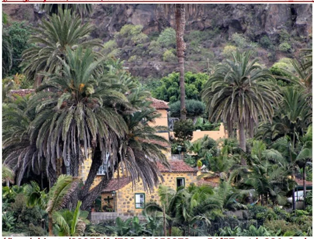 Finca Doña Juana Los Realejos